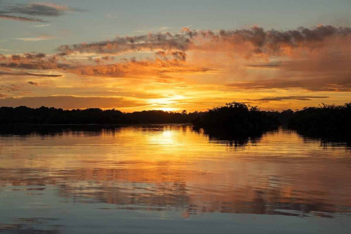 Webinário gratuito debate investimentos sustentáveis na Amazônia em outubro